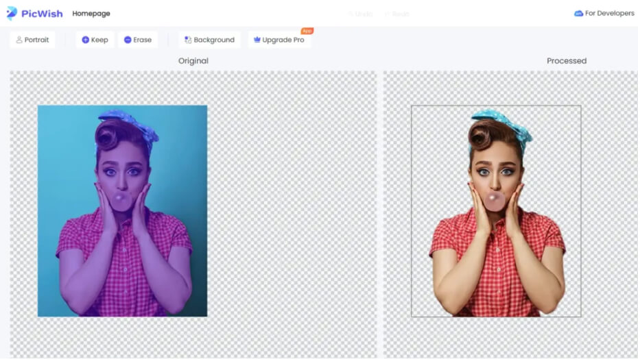 PicWish Background Remover